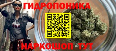 дмт Берёзовский
