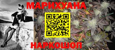крисы Бийск