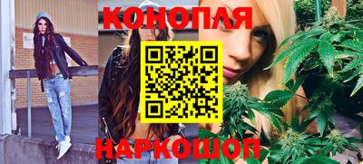 крисы Бийск