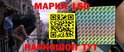 крисы Бийск