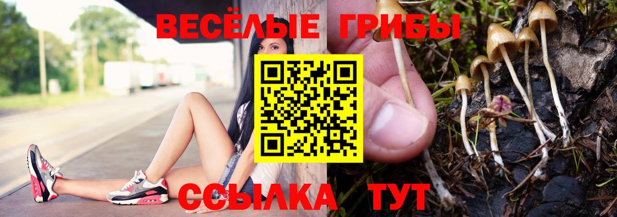 Белогорск  Галлюциногенные грибы прущие грибы  Вход с VPN 