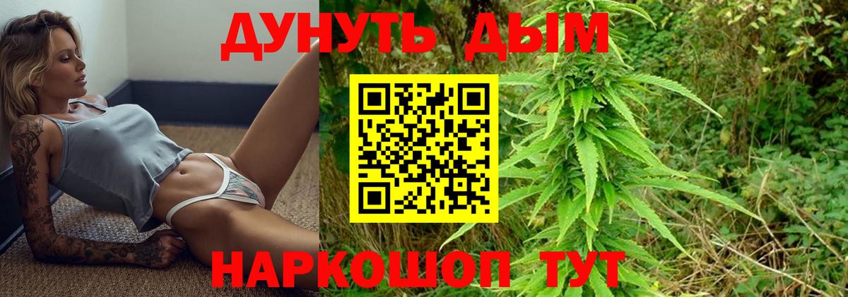 Белогорск  Бошки Шишки тримм  Бошки марихуана семена  Бошки Шишки Bruce Banner  Бошки Шишки планчик  Вход с VPN 